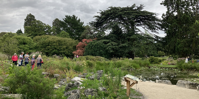 Rock Garden at Cambridge Botanic Gardens, 1st August 2023
