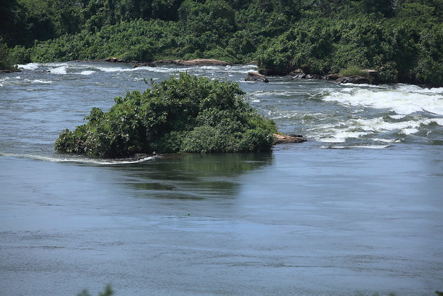 The White Nile near Jinja