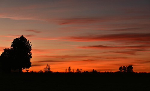 Sunset Colours & Tree Silhouette! by Pat's Pics36, Looking west from our farm on Sumas Prairie in Abbotsford, British Columbia, the sunset colours were