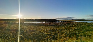 Druridge Wetlands Panorama