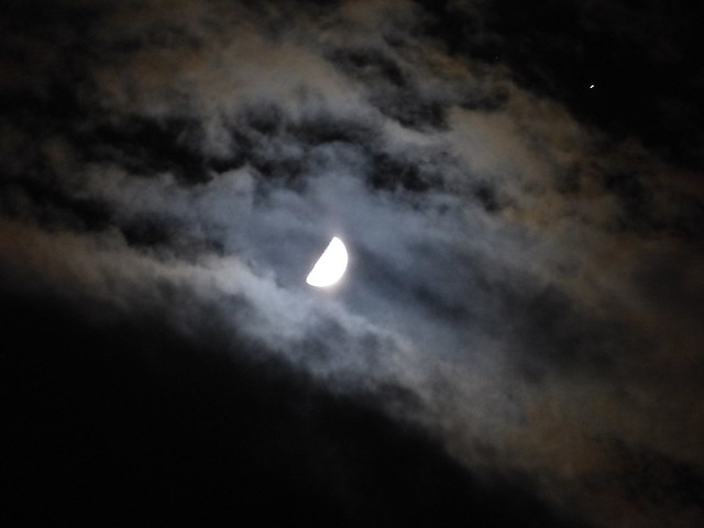 Mondlicht / moonlight 20-Nov-23