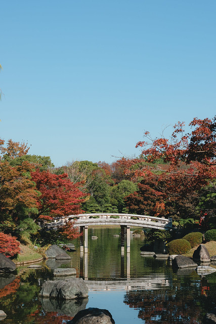 紅葉が美しい大仙公園の日本庭園。A Japanese garden in Daisen Park with beautiful autumn leaves.