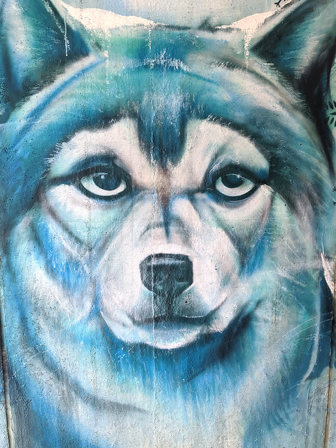 Long-suffering wolf mural in the underpass