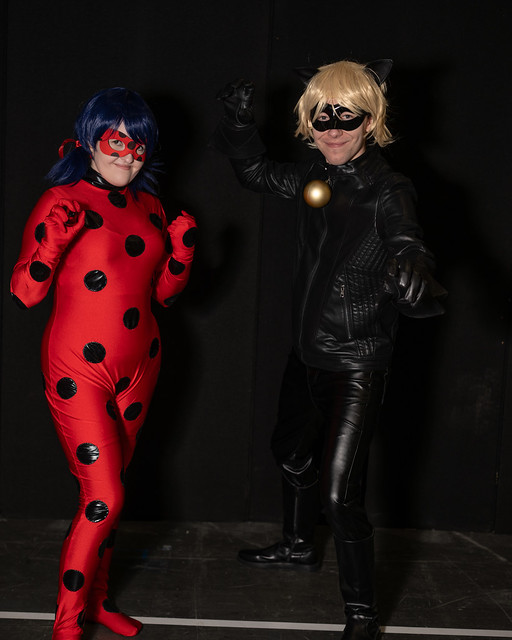 Ladybug and Cat Noir - Miraculous: Tales Of Ladybug & Cat Noir