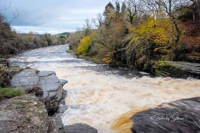 Z52_3320 - The River Ure