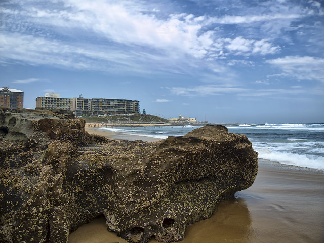Newcastle Beach, NSW - a rock