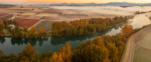 Rasberry Fields on a Foggy, Frosty Morning by EdBob, A truly prototypical autumn morning in the Skagit Valley. The Skagit River provides an irrigation sy