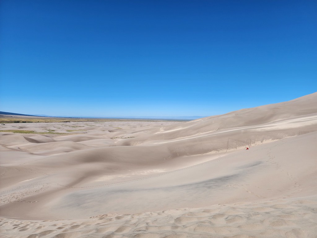 The Dunefield