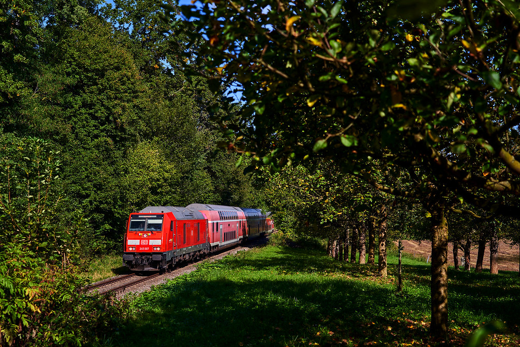 DB Regio_245 007-0_Salem 03.10.2023 [IRE Friedrichshafen - Basel]
