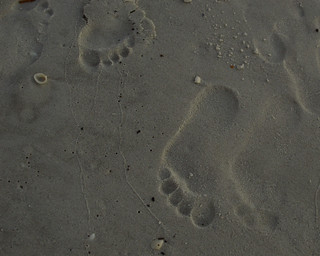 Leaving footprints in the sand