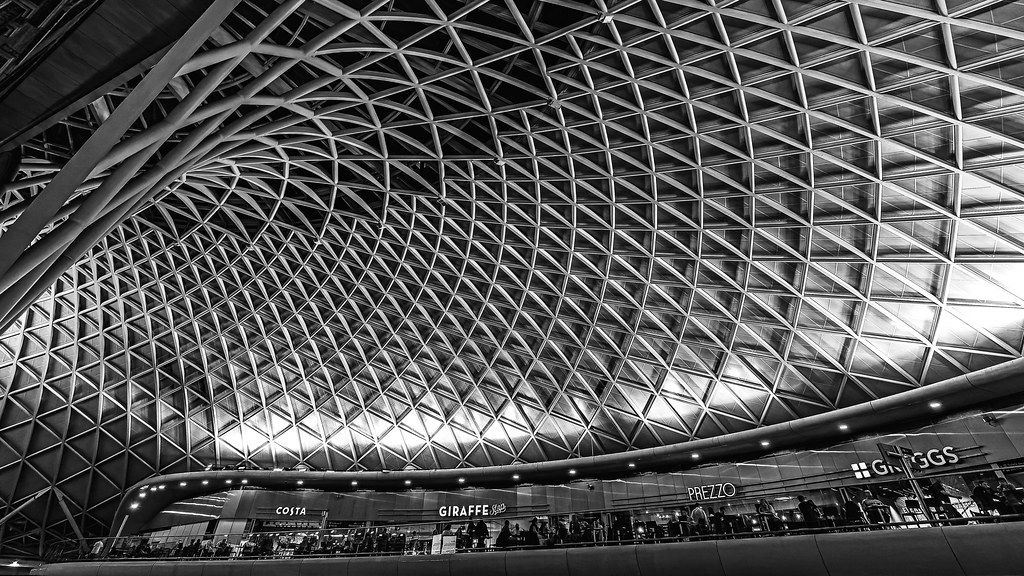 Roof - Kings Cross Station - London  (Monochrome) (OM-1 & Olympus 8-25mm Pro F4 Wide Angle Zoom Lens)