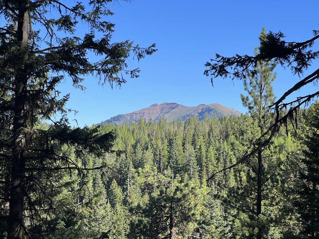 Mule Peak Hike