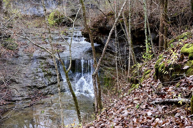 Bundle Run Waterfalls at Quiverheart Nature Preserve
