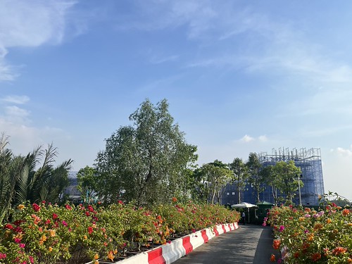 tien-do-ecovillage-saigon-river-thang-11-2023-05
