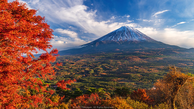 Momiji Autumnal Leaves & Mt. Fuji