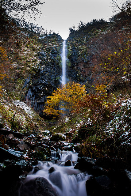 Deer waterfall