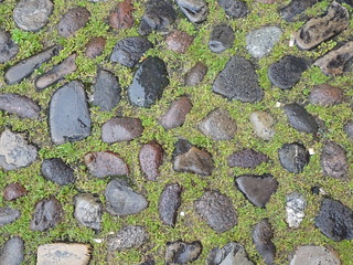 Rained-upon Stones