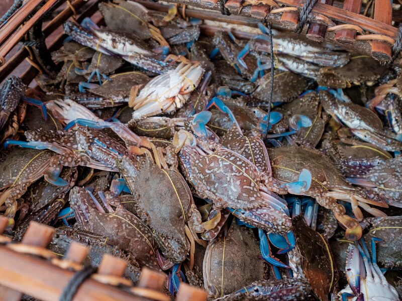 Cambodia - Kep’s Crab Market
