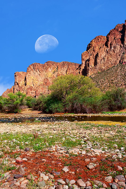 Sonora Desert Gibbous Moon