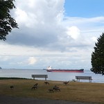 tankers in the English Bay of Vancouver in Vancouver, Canada 
