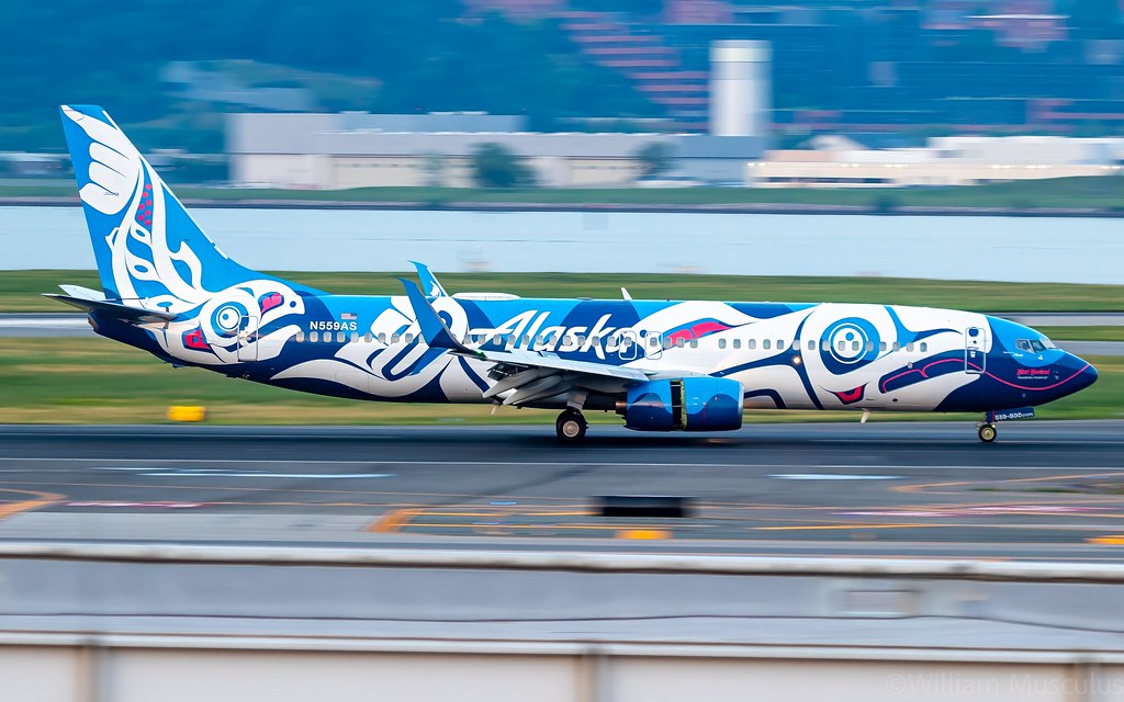 herpa Boeing 737-800 Xáat Kwáani Alaska Airlines Miniature à l'échelle 1:500 Modèle de Collection sans Socle en métal