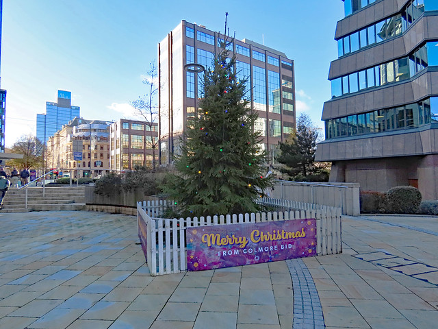 Colmore BID Christmas tree in Colmore Square