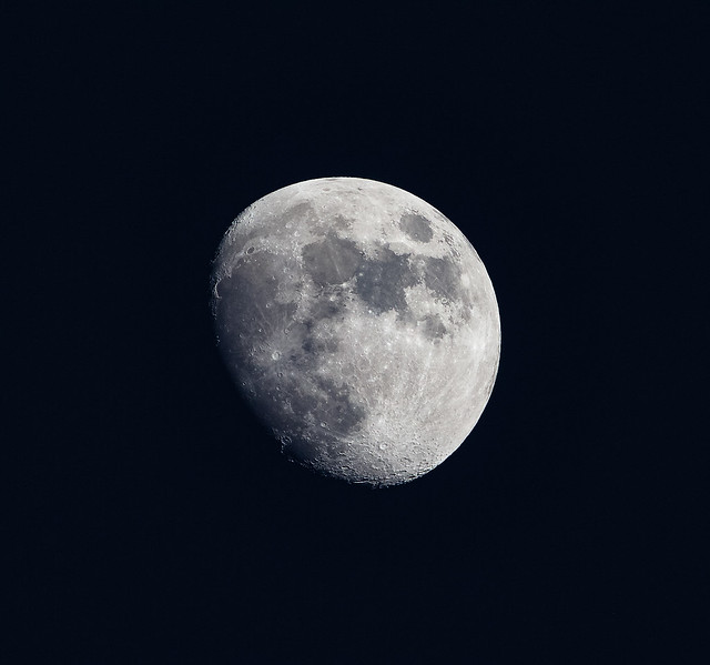 Thanksgiving Day Moon