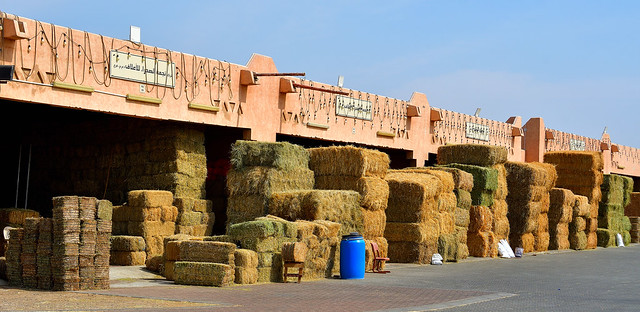 Al Ain Camel Market, U.A.E.