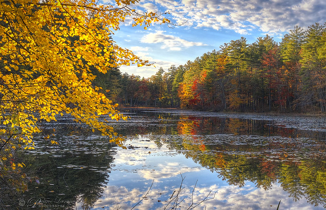 New Hampshire Autumn 2023