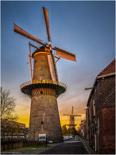 Windmill 'De Vrijheid' and 'De Noordmolen' in the background