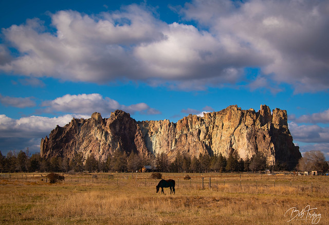 Grazing at Smith Rock