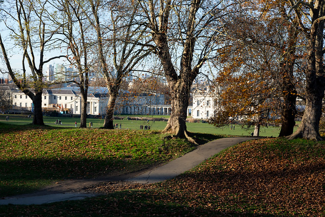 Autumn in Greenwich 2023-10
