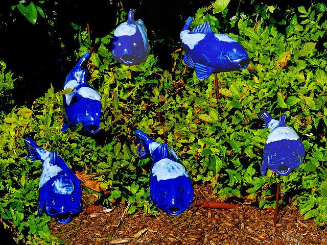 Six Blue Fish in the Garden