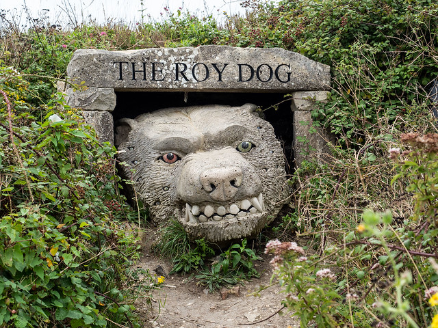 the roy dog