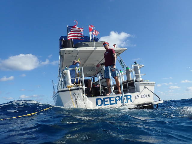 2023 DEC 2 AM Boat Dives Key Largo