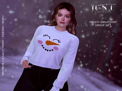 New Group Gift - Frosty Sweatshirt