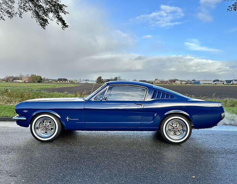 1966 Mustang Fastback 289cu V8 - Stunning Restored Concours Condition