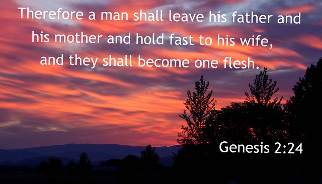 Genesis 2 Verse 24