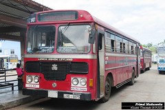 NB-8875 Kilinochchi Depot Ashok Leyland - Viking 210 Turbo B+ type Bus at Trincomalee in 08.09.2023