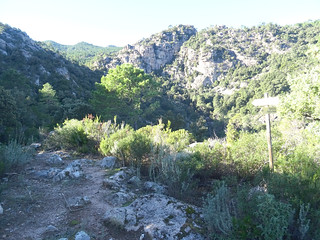Sentier du Pisciaronu (PR6) : arrivée à l'embranchement Carbunari/PR6