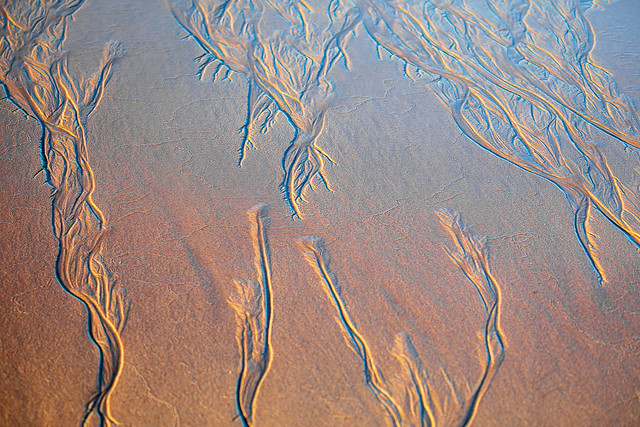Patterns in the Sand 2081