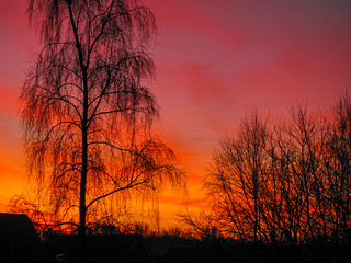 2023 (challenge No. 3 - old unpublished pics) - Day 331 Red dawn breaking over Chandlers Ford, Hampshire, England 2022