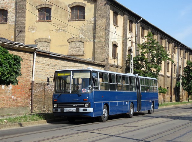 Egy Ikarus 280-as nosztalgia autóbusz a Gubacsi úton