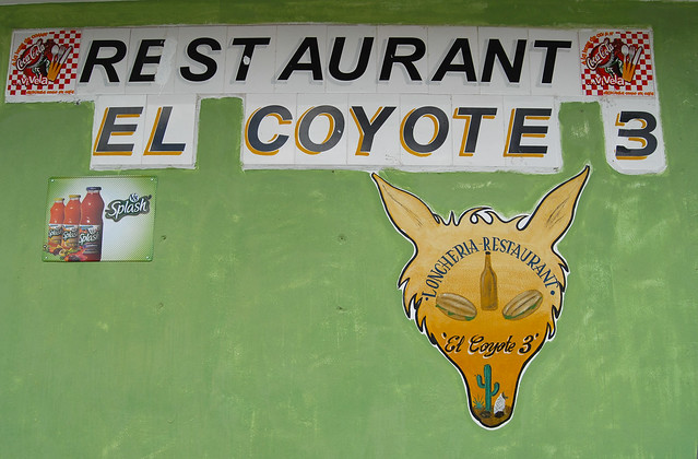 El Coyote 3