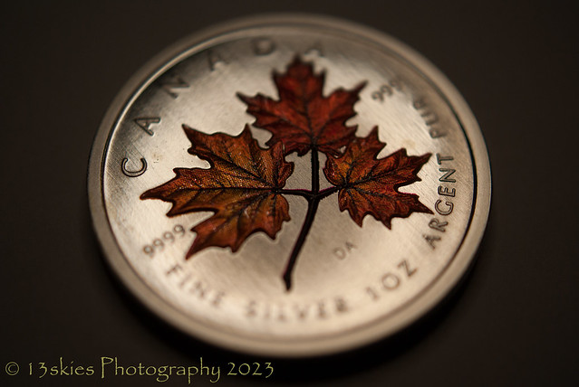 The Maple Leaf (HMM)