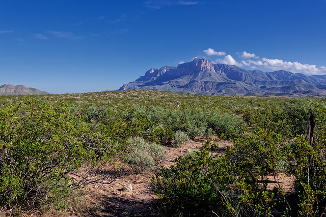 The Guadalupe Mountains, Formed About 275 Million Years Ago and Still Looking Good! (Guadalupe Mountains National Park)