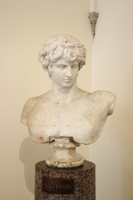 Bust of Antinous in Palazzo Altemps