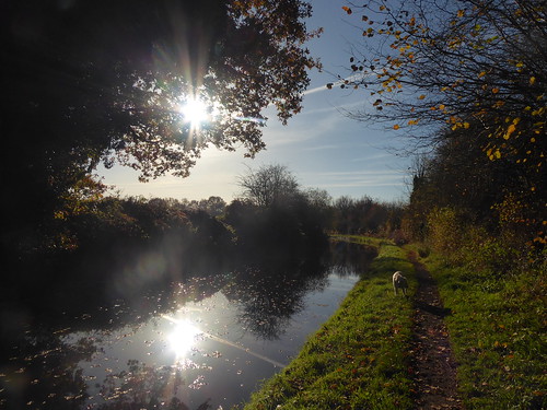 The Staffordshire and Shropshire Canal