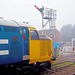 Class 37418 getting right of way at Poppleton, North Yorkshire 23rd October 2023