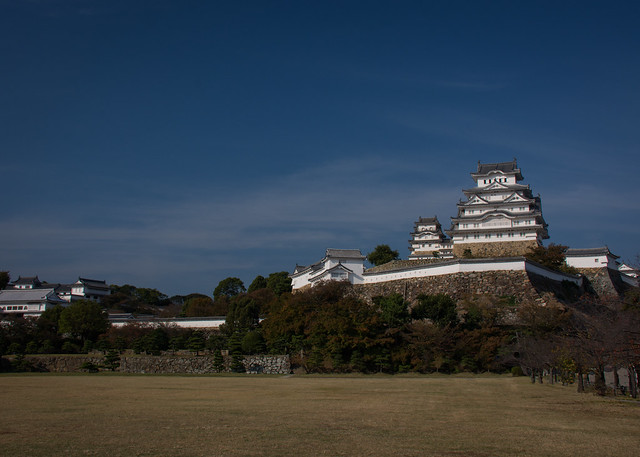 Himeji Castle (1029)